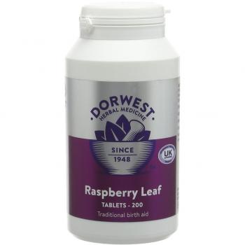 Dorwest Raspberry Leaf Tablets for Dogs And Cats, 200 Tablets, Pregnancy Support For Pets – For Natural Hormonal Balance and Phantom Pregnancies