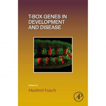T-box Genes in Development and Disease: Volume 122