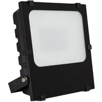 Foco Proyector LED 100W Regulable IP65 Blanco Frío 6000K 145 lm/W HE Frost PRO