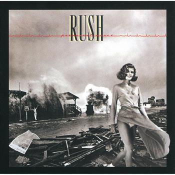 Vinyl Permanent Waves Limited Edition