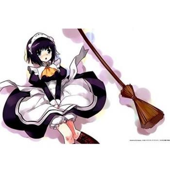 Zero no Tsukaima F (36x24 inch, 91x60 cm) Silk Poster Seda Cartel PJ19-316F