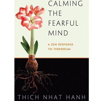 Calming The Fearful Mind: A ZEN Response to Terrorism
