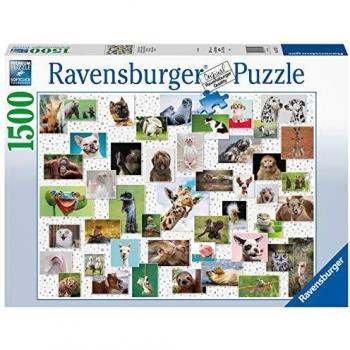 Ravensburger - Collage de animales divertidos
