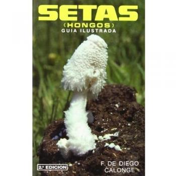Setas