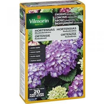 Vilmorin 6410599 - Abono granulado para hortensias, 800g