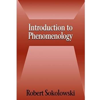 Introduction to Phenomenology