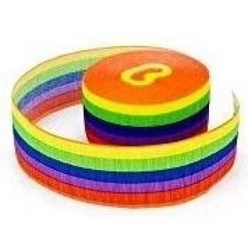 Rainbow Crepe Streamer by Amscan