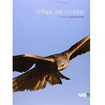 Uñas de cristal