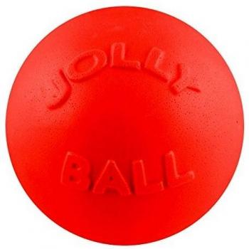 Jolly Pets Bounce-N Play Dog Toy, 15 cm, Orange
