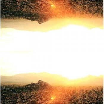 Inside / Outside: Joshua Tree Acoustic Sessions [Vinilo]