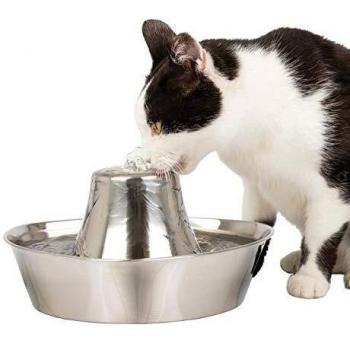 PetSafe Pet Fountain, Stainless Steel