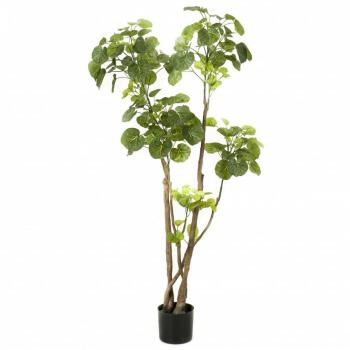 Árbol Polyscias artificial Esmeralda verde 135 cm 420292