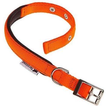 Collar de Nylon Daytona C20 43 Naranja con Suave Imbottitura - Medidas: 35-43 cm, Ancho: 20 mm