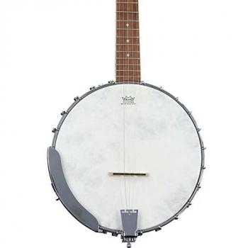 Fender PB-180E Electric Banjo with Gigbag