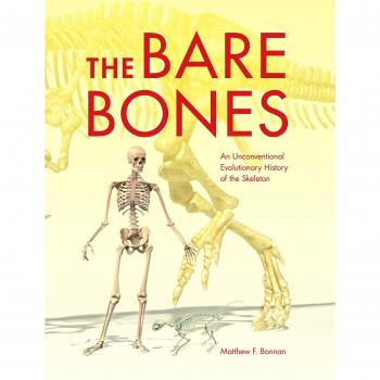 The Bare Bones: An Unconventional Evolutionary History of the Skeleton