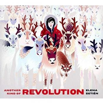 Another Kind Of Revolution