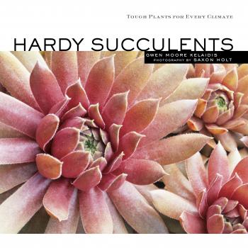 Hardy Succulents: Tough Plants For Every Climate