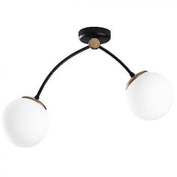 Plafón de Techo 2 Luces Tulipas Cristal Modelo 5