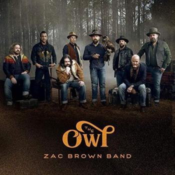 The owl vinyl