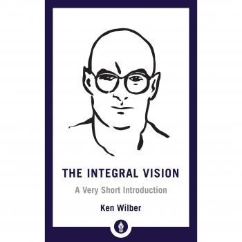 Integral Vision: A Very Short Introduction