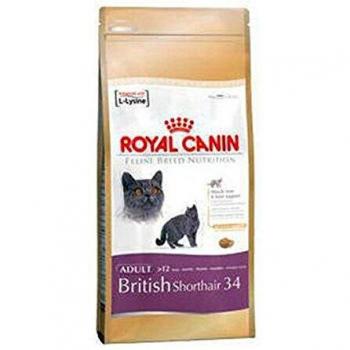 Royal Canin British Shorthair Adult Dry Cat Food