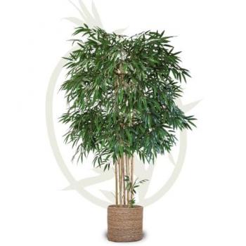 Planta Artificial Grande Bambú Realista para Decoración del Hogar y Oficina - Altura 190 cm