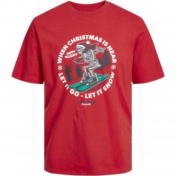 Jack & Jones Junior Christmas Skull Red Crew Neck T-Shirt for Kids