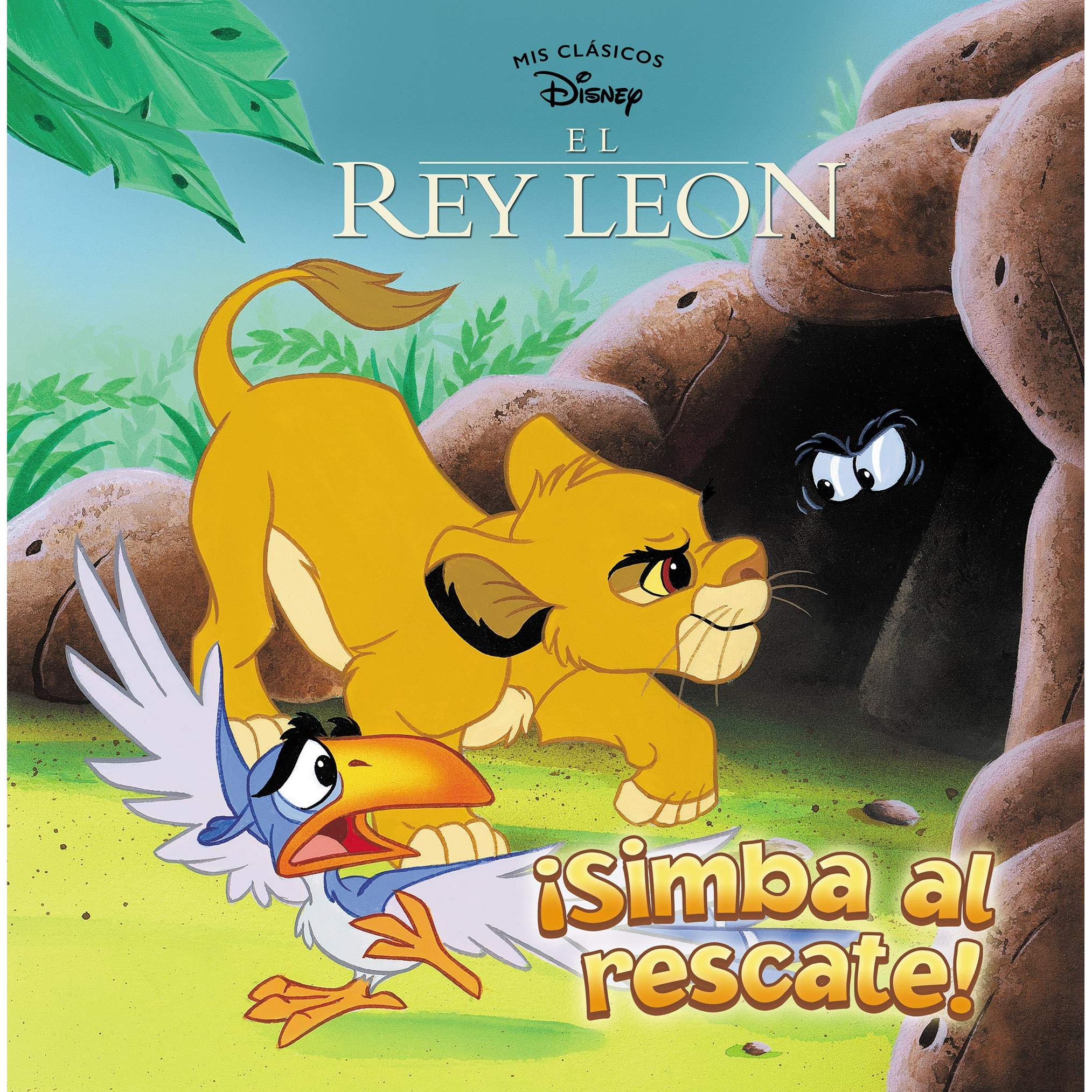 Imagen Principal