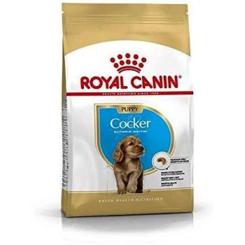 Royal Canin Dog Food Cocker Junior Complete 3KG