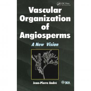 Vascular Organization of Angiosperms: A New Vision