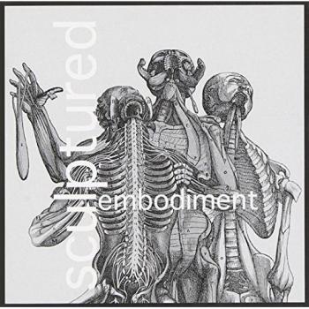 Embodiment