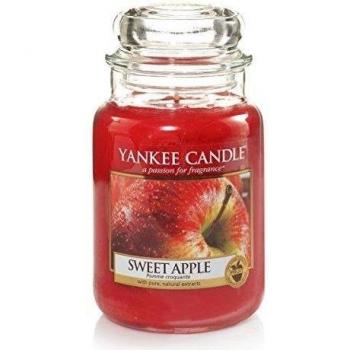 Yankee Candle Vela Perfumada y eacute; e anón olla olor y eacute; e, rosa, talla L