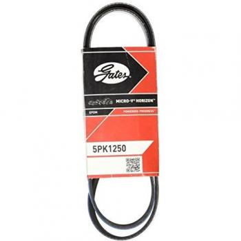 Correa acanalada en V GATES 5PK1250, tipo: correa V-ribbed, longitud: 1250 mm, número de bandas: 5