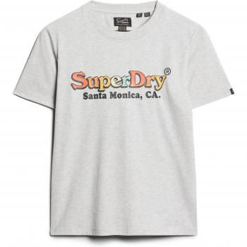 Camiseta de manga corta Superdry para mujer con logotipo arcoíris en color gris, estilo relajado