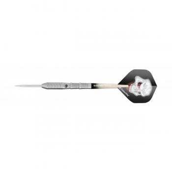 Bull 's Phantom PT4 Steel Dart, Plata, 22 g