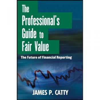 Professional's Guide to Fair Value (Hardback) by James P. Catty - Comprehensive Valuation Techniques and Insights
