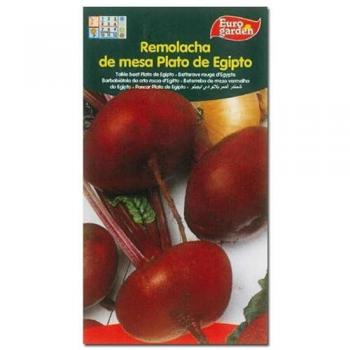 Semillas Fito Hortícolas Remolacha de Mesa Plato de Egipto 00276 - Caja 10 unidades (10 x Semillas de Remolacha de Mesa Aplastada de Egipto 10 g - Euro Garden)