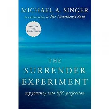 The Surrender Experiment: My Journey into Life's Perfection