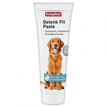 beaphar Gelenk Fit en pasta para la salud articular para perros - 250 g