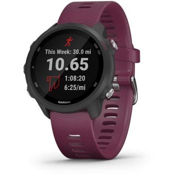 Garmin Forerunner 245, GPS Running Smartwatch with Advanced Dynamics, Slate Gray