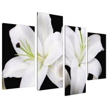 Wallfillers Cuadros en Lienzo Grande Floral Orquídeas Blanco y Negro Lienzo Pared Imágenes XL 4128