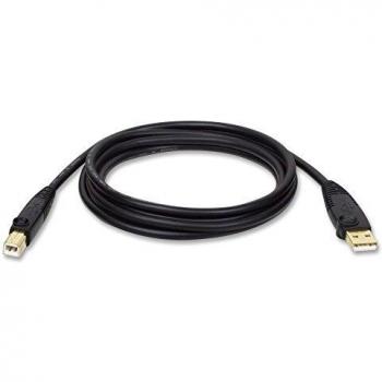 Tripp Lite U022-010 - 3.05 M USB HIGH SPEED CABLE M/M - .