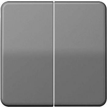 Tecla Doble Gris JUNG 0712077201
