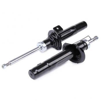 RIDEX 854S1974 Amortiguador, Set de 2