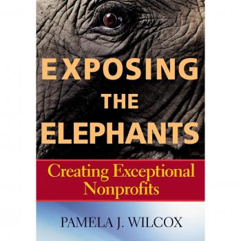 Exposing the Elephants: A Guide to Building Exceptional Nonprofits (Paperback)
