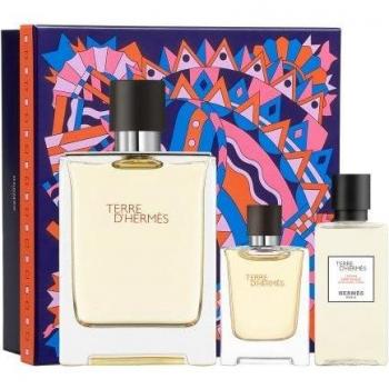 Hermès Terre d'Hermès Eau de Toilette 100ml Gift Set
