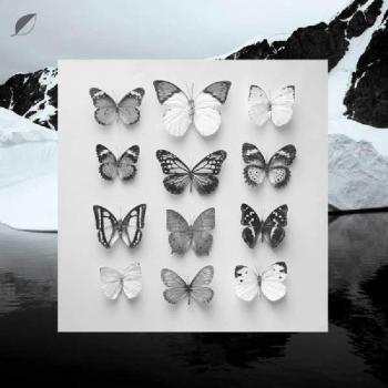 YOUNG ALASKA [Vinilo]
