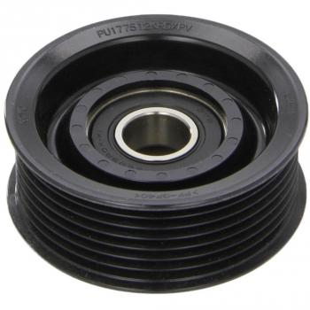 INA ABDS Deflection Pulley 532058010