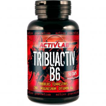 Activlab Tribuactiv B6 (90 capas), 1 unidad (72 g)