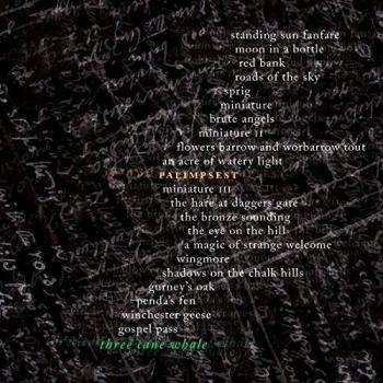 Palimpsest